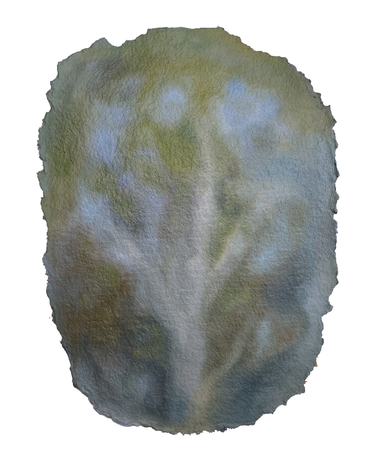 Yulia Katan. Birch